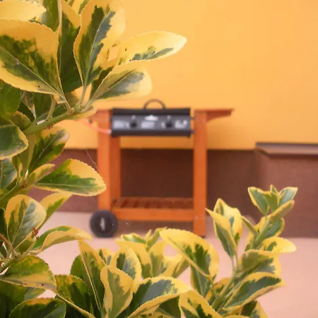 Holiday Home Ivan בית נופש